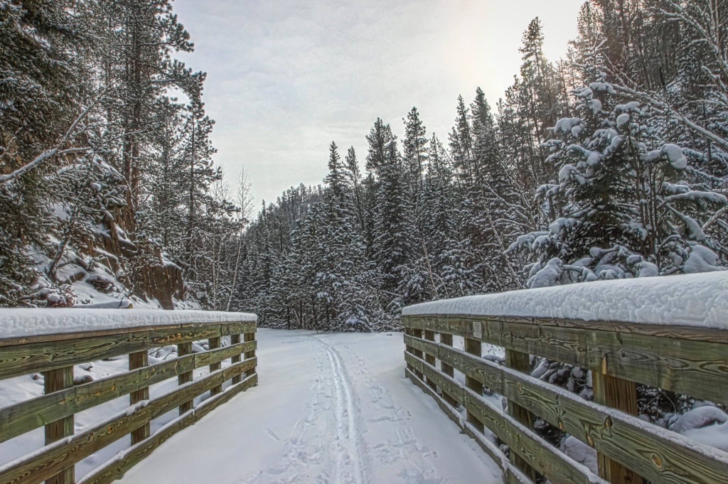 Black-Hills-SD/1024x768_Cross country ski tracks on the Mickelson Trail.jpg
